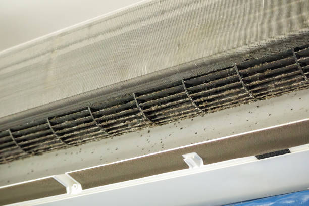 Best Professional Duct Cleaning Services  in Woodlake, CA